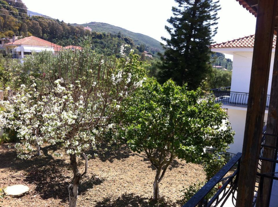 Spyros Apartments Kalamaki  Room photo
