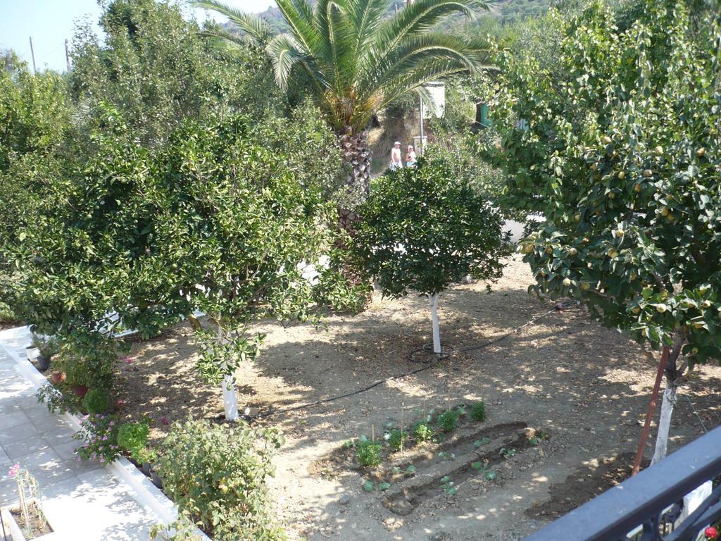 Spyros Apartments Kalamaki  Room photo