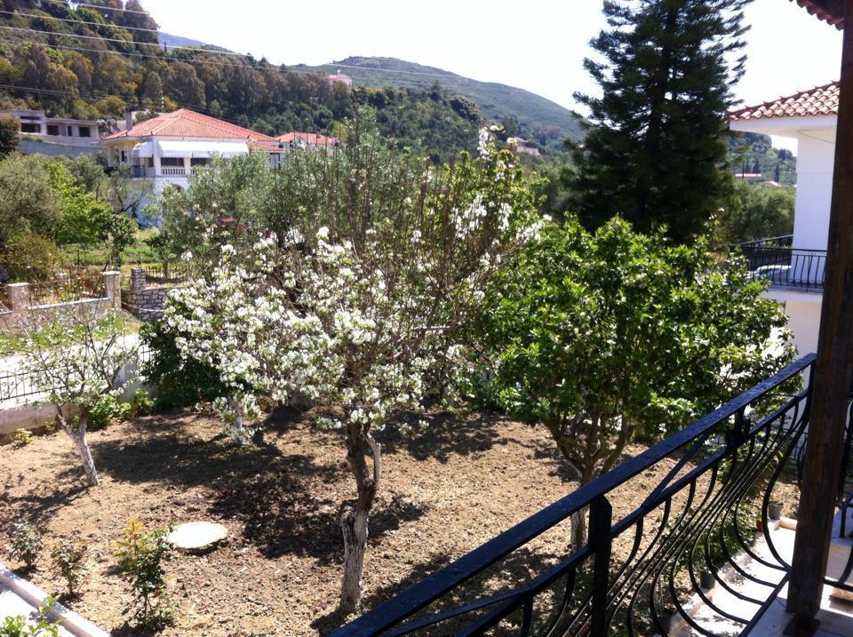 Spyros Apartments Kalamaki  Room photo